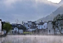 上海后花园秘境之旅：发现不一样的风景